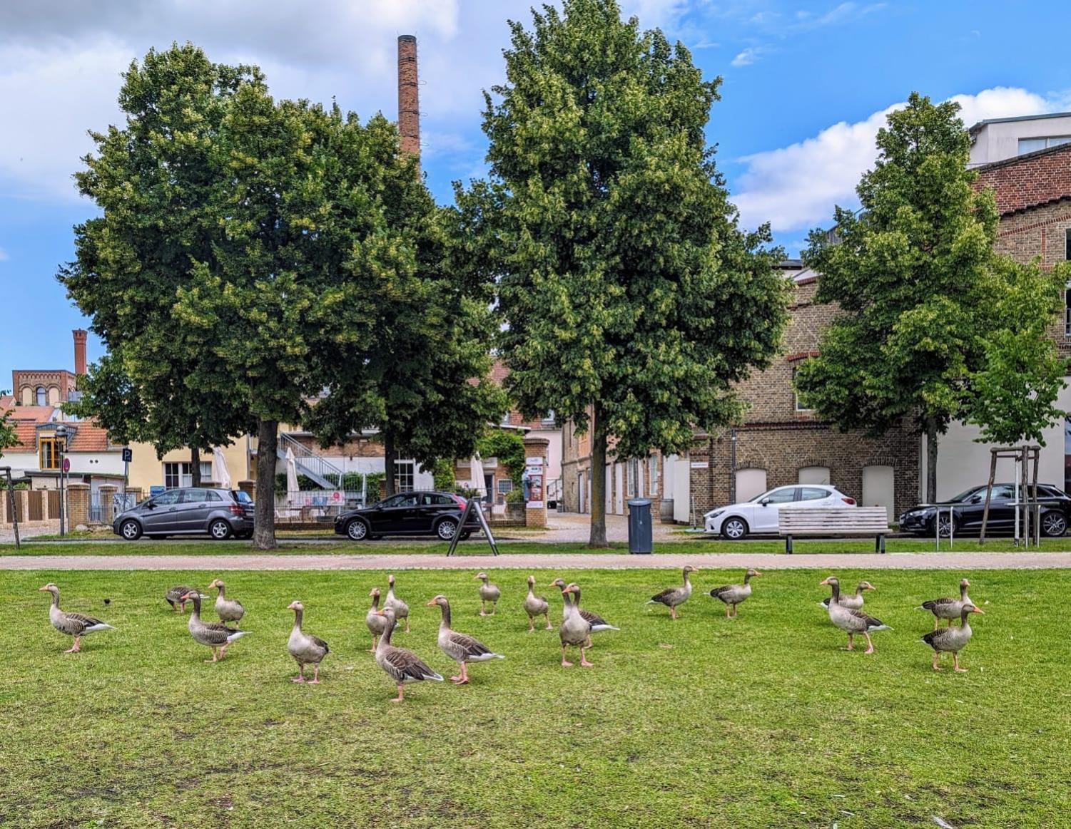 Lendelhaus & Historische Saftfabrik Werder Apartamento Werder  Exterior foto